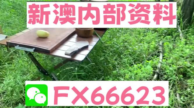 新澳内部资料精准一码-新澳免费资料大全精准版,新澳内部资料精准一码与免费资料大全精准版详解