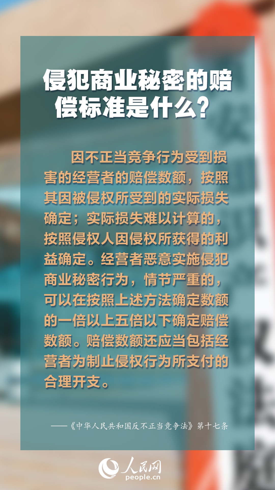 2025年正版资料免费大全最新版本亮点介绍,探索未来知识宝库，2025正版资料免费大全最新版本的亮点介绍