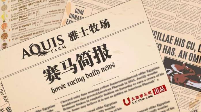 2025澳门特马今晚开奖165,澳门特马今晚开奖，探索彩票背后的文化与社会影响