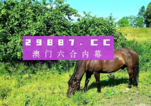 今晚澳门最准一肖一码,今晚澳门最准一肖一码，揭秘幸运之门背后的秘密