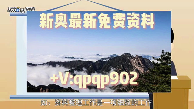新奥正板全年免费资料,新奥正板全年免费资料，探索与启示