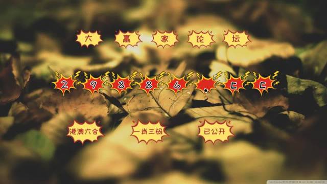 澳门天天开好彩大全 65期,澳门天天开好彩大全解析，第65期的独特魅力与奥秘