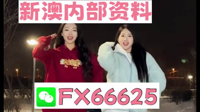澳门一肖一特一码一中,澳门一肖一特一码一中，探寻背后的故事与文化内涵