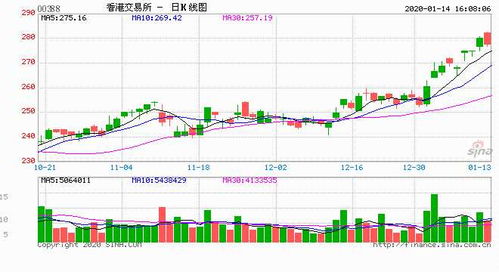 2025澳门特马今晚开奖香港,澳门特马今晚开奖香港，探索彩票背后的文化与社会影响