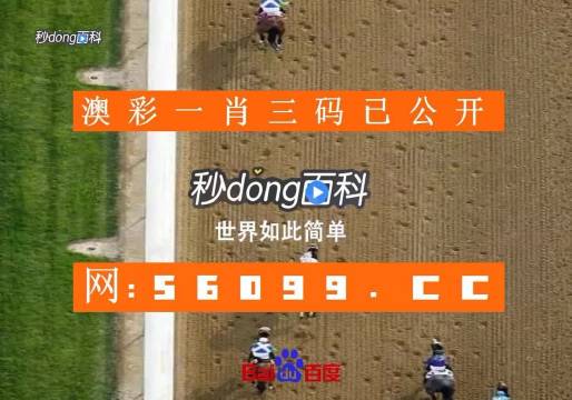澳门六开奖结果2023开奖记录今晚,澳门六开奖结果2023年开奖记录今晚分析