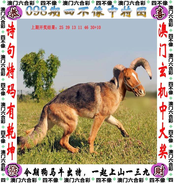 新澳门四不像图片大全2025年,新澳门四不像图片大全2025年，探索与期待